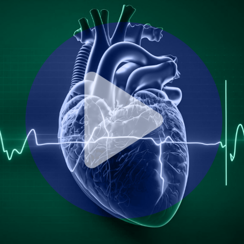 The Next Generation of Cardiovascular Drugs
